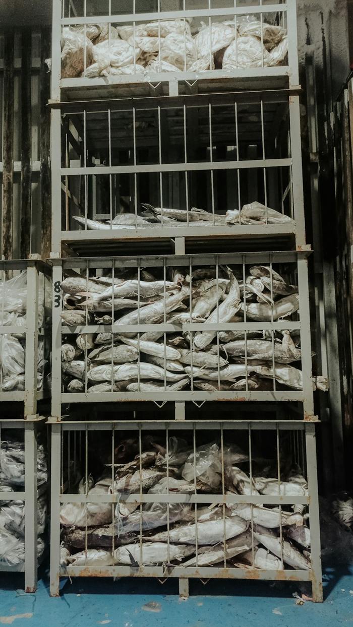 Rafturi metalice cu marfă congelată într-un depozit frigorific